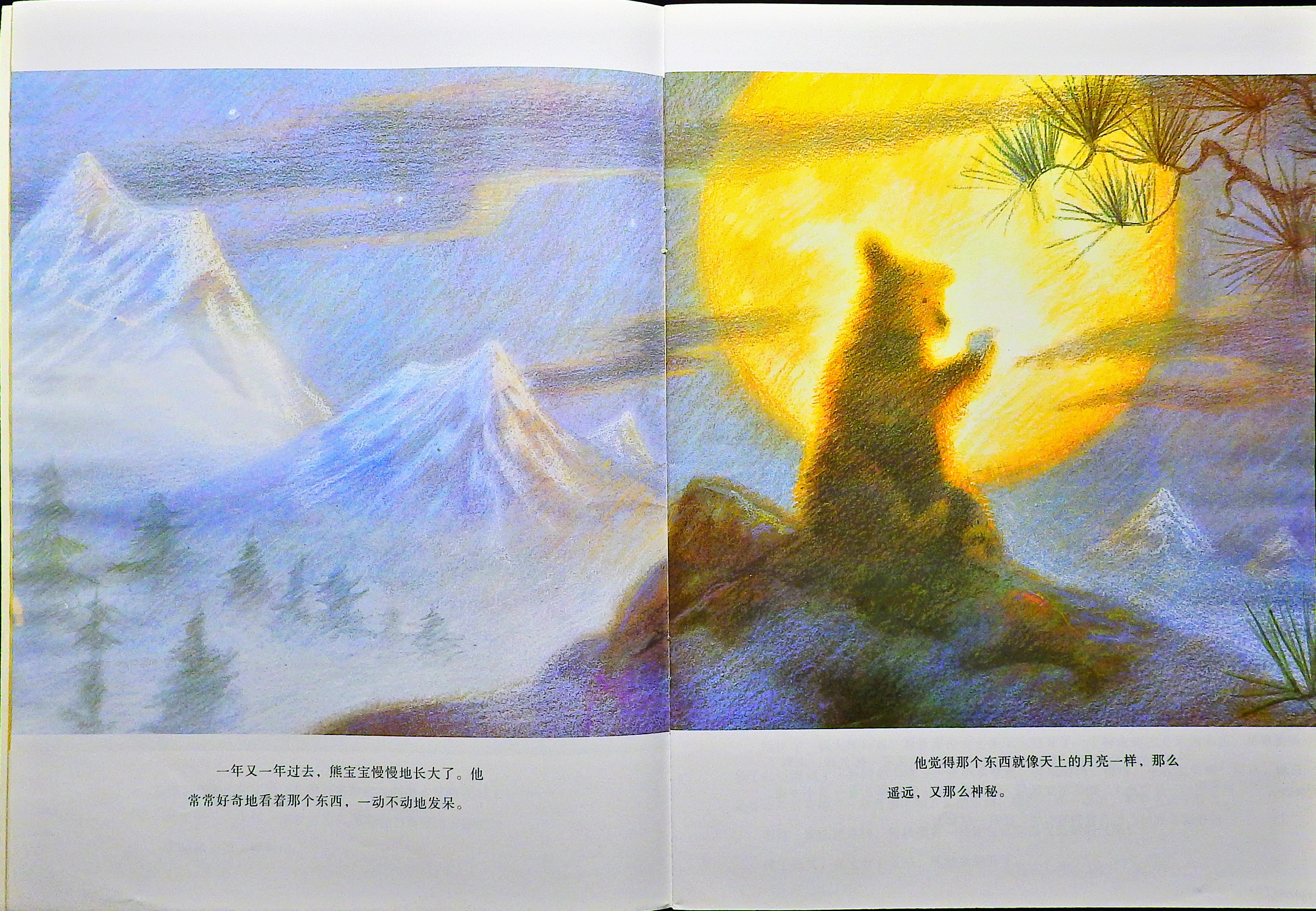 爱听故事的大熊 (05),绘本,绘本故事,绘本阅读,故事书,童书,图画书,课外阅读